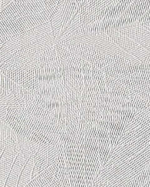 Sycamore obscure glass texture