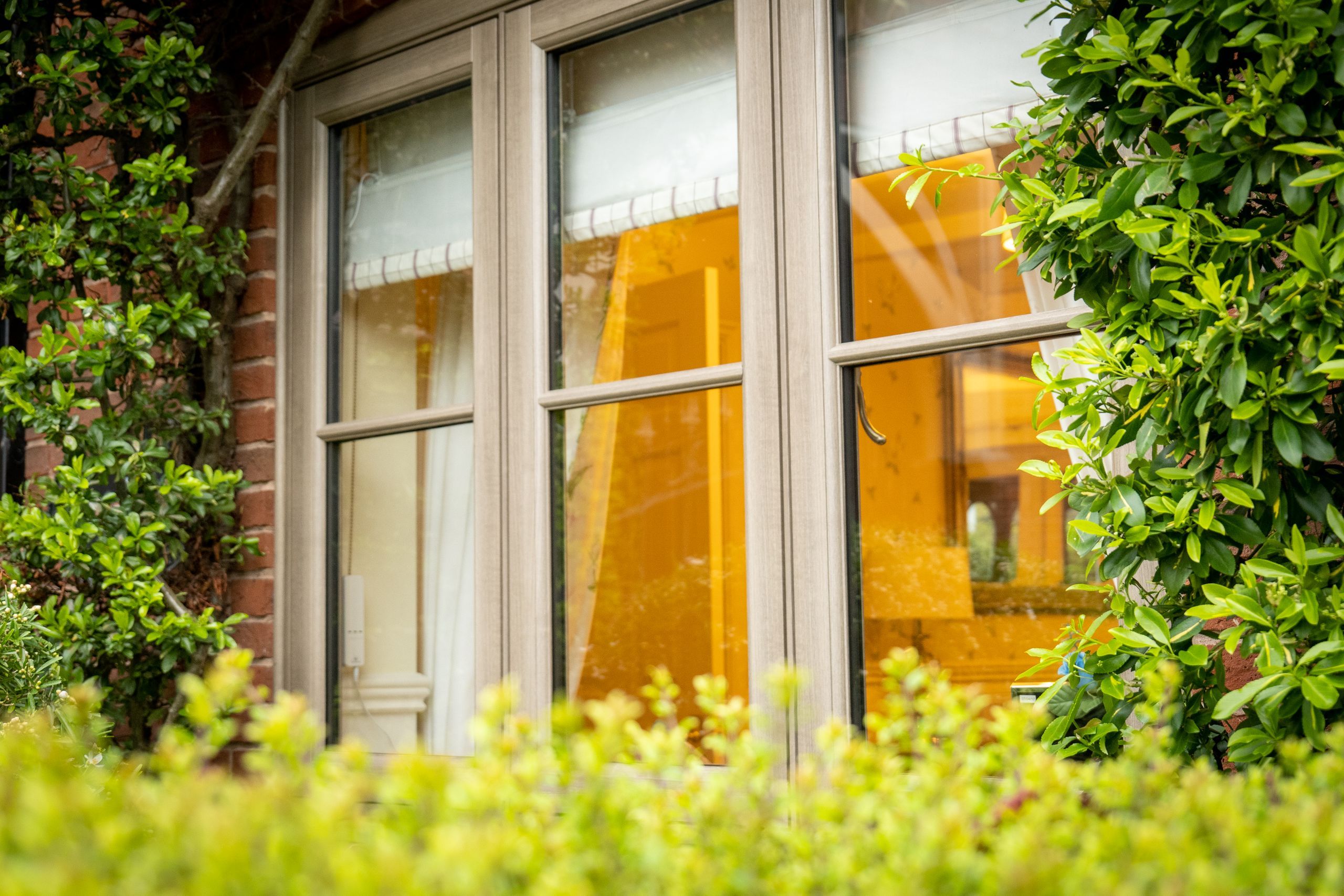 Resurgence Windows